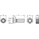 Plough bolt M12 x 1,75 x 37 with hexagon nut