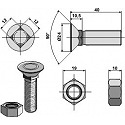 Plough bolt DIN 608 M12 x 1,75 x 40 with hexagon nut