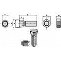 Plough bolt M12 x 1,75 x 32 with hexagon nut