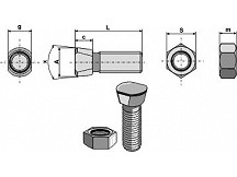 Plough bolt M12 x 1,75 x 32 with hexagon nut