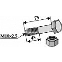 Schraube mit Sicherungsmutter - M18 x 2,5 - 8.8