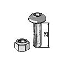 Saucer-head screw with hexagon socket with nut