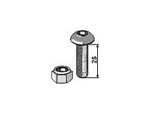 Saucer-head screw with hexagon socket with nut