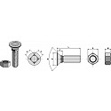 Plough bolt DIN 608 M12x1,75x50 with hexagon nut