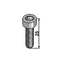 Hexagon socket bolt