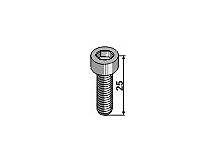 Hexagon socket bolt