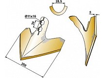 Gänsefußschar