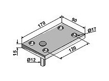 Ledger plate with pin