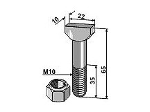 Hammer-head bolt with self-locking nut